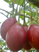 Food Heros - Ludbrook House Fine Foods